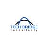 Tech Bridge consultancy