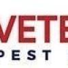 Team Veterans Pest Control