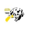 Golden Touch Painting - Cape Coral Business Directory