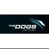 Greyhound Racing New South Wales - Darlinghurst Business Directory