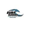 Surf Hawaii Surf School - Hawaii Business Directory