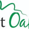 Crescent Oak Dental - Kitchener Business Directory