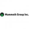 The Mammoth Group