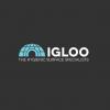 Igloo Surfaces