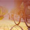 Rickys Bicycle Tours - Scotland Business Directory