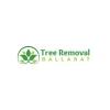 Tree Removal Experts Ballarat