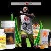 Vigor Icon Supplements Vigor LLC - Dover Business Directory