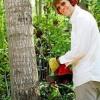 Tree Surgeon Stroud - Stroud Business Directory