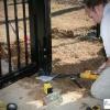 Electric Gate Repair Services Arlington - Arlington Business Directory