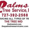 The Palms Tree Service, Inc. - St. Petersburg, FL Business Directory