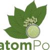 Kratom Point