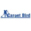 Carpetbird