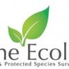 Hone Ecology Ltd