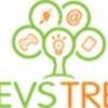 Devstree IT Services Pvt. Ltd. - New York, N.Y 10010 Business Directory