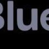 Bluehat Marketing