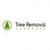 Tree Removal Canberra - Arborist