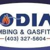 Kodiak Plumbing & Gasfitting Ltd.